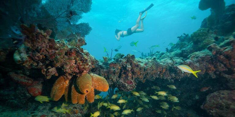 key west guest underwater snorkeling